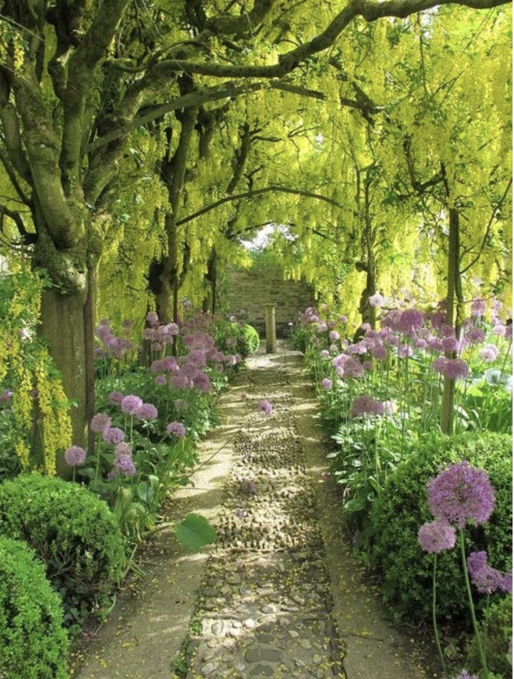 Botanical Printing & Dyeing Weekend Workshop 11th & 12th of July 2026 - Image 10