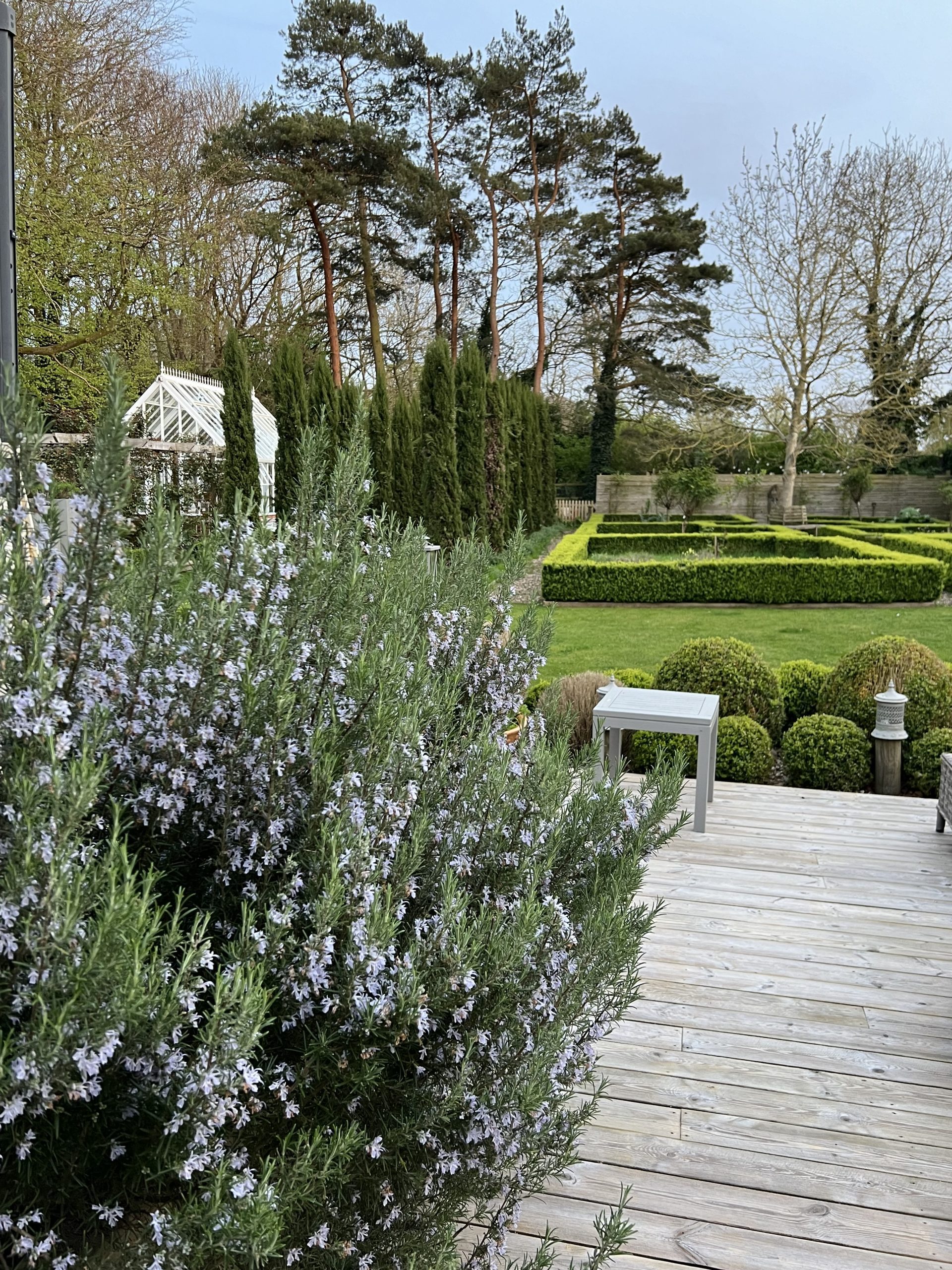 Botanical Printing & Dyeing Weekend Workshop 11th & 12th of July 2026 - Image 6