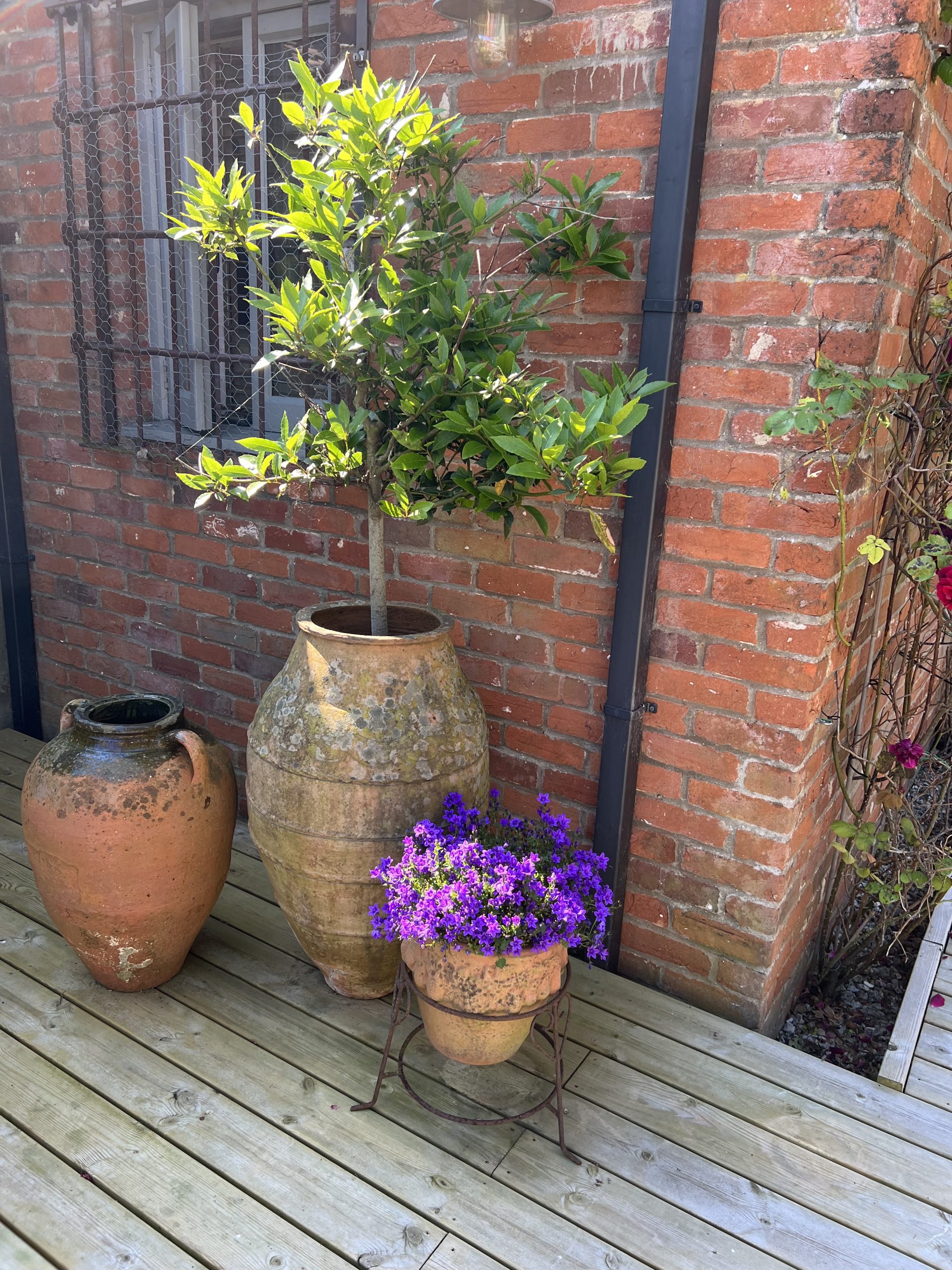 Botanical Printing & Dyeing Weekend Workshop 11th & 12th of July 2026 - Image 26