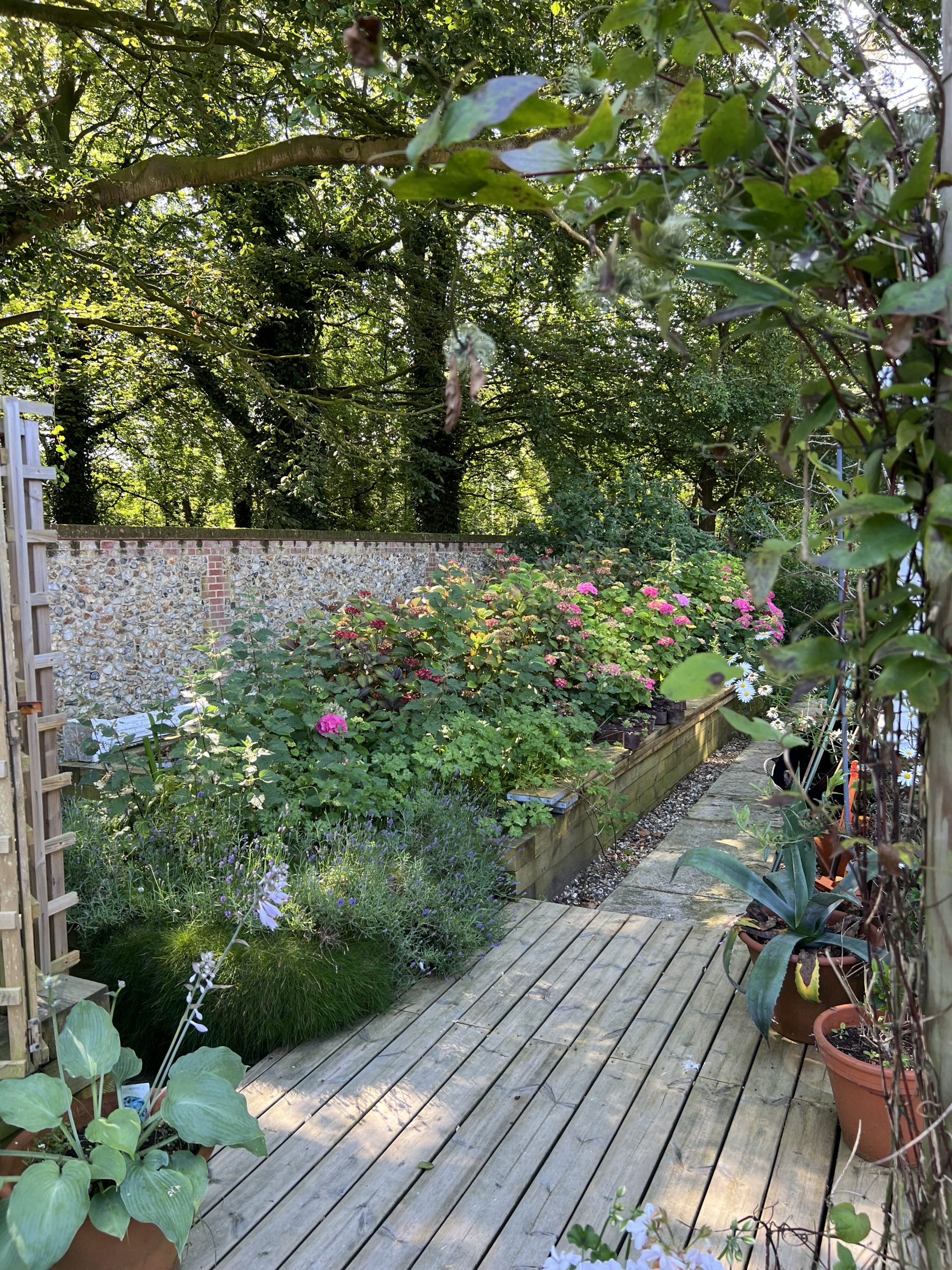 Botanical Printing & Dyeing Weekend Workshop 11th & 12th of July 2026 - Image 20