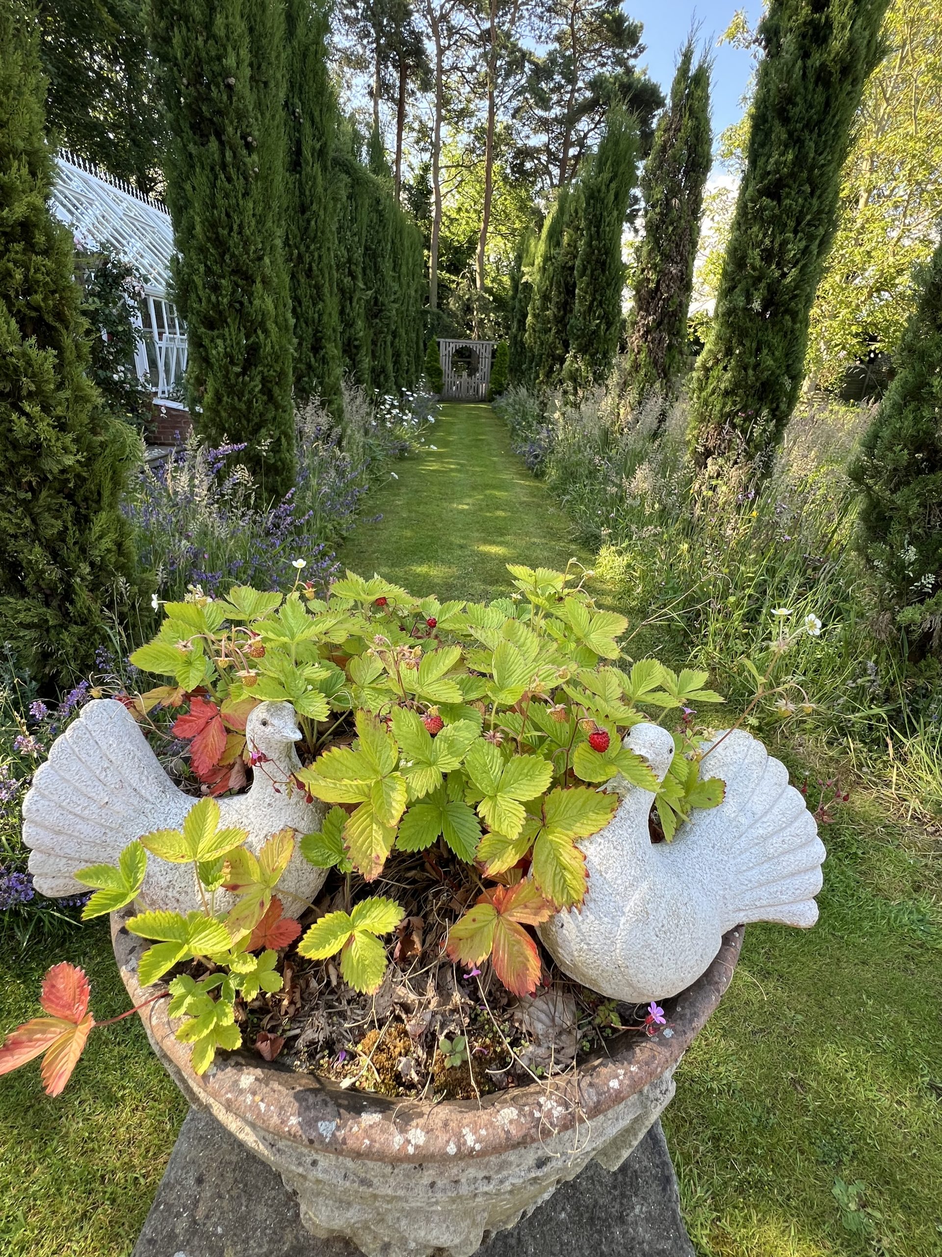 Botanical Printing & Dyeing Weekend Workshop 11th & 12th of July 2026 - Image 4